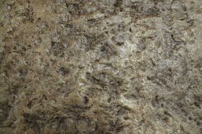 Walttools – Tru Texture Vertical Concrete Skin – Heavy Granite