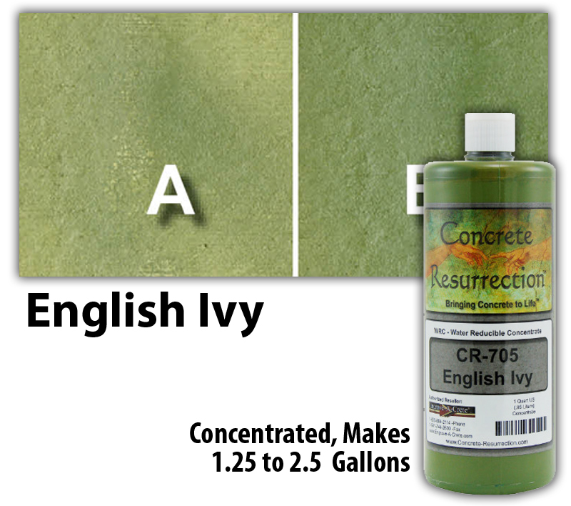 Professional Easy to Apply Water Based Concrete Stain – English Ivy